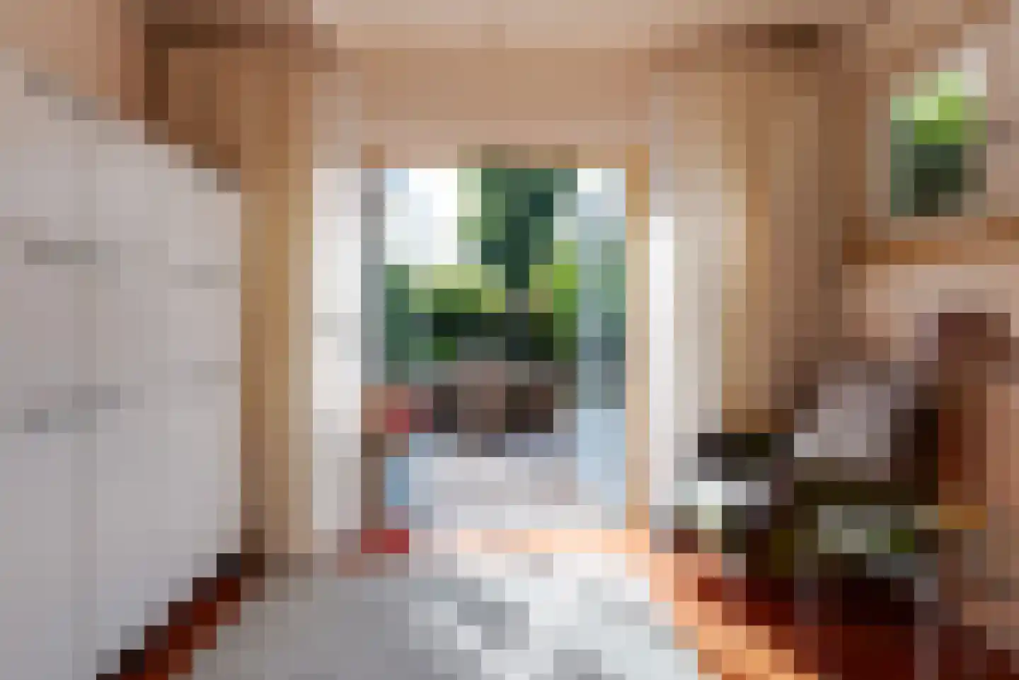 Van Vladerackenlaan 31 Heiloo thumbnail 23