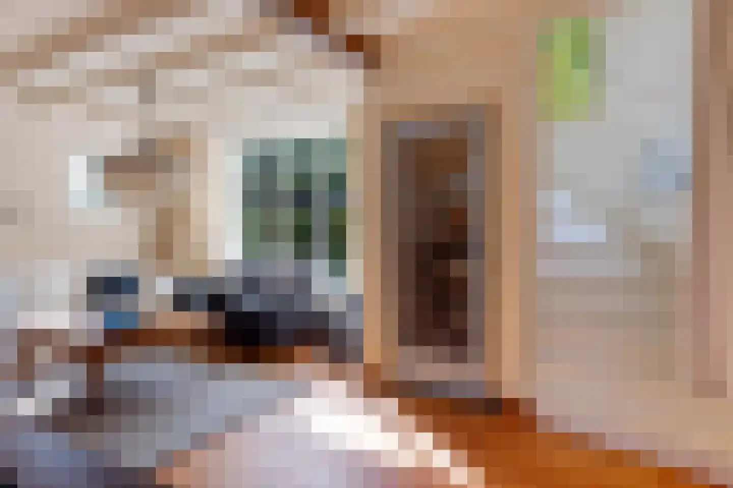 Van Vladerackenlaan 31 Heiloo thumbnail 42