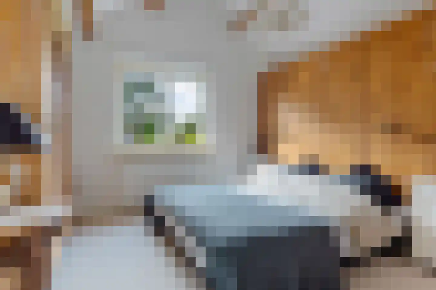 Van Vladerackenlaan 31 Heiloo thumbnail 47