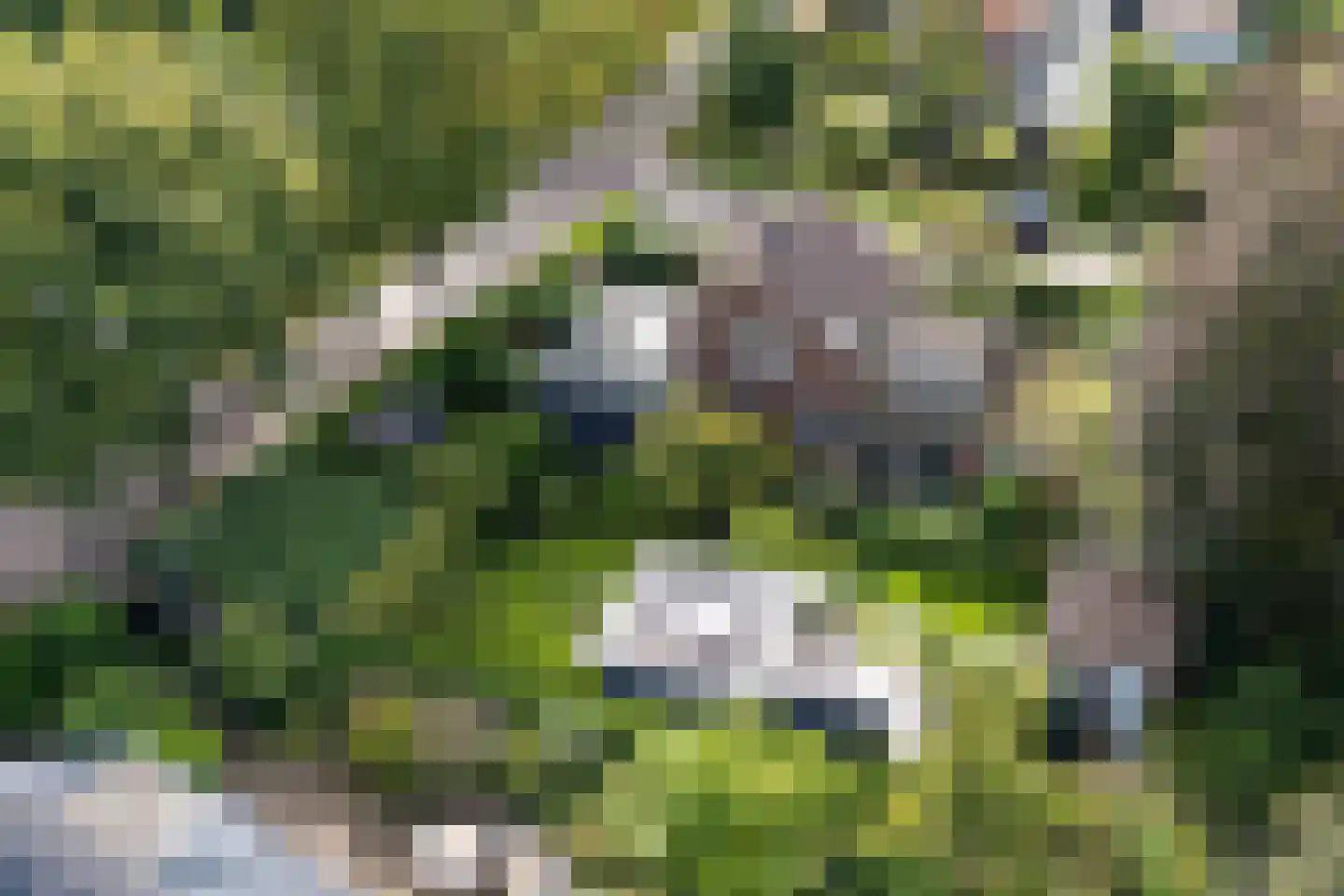 Van Vladerackenlaan 31 Heiloo thumbnail 60