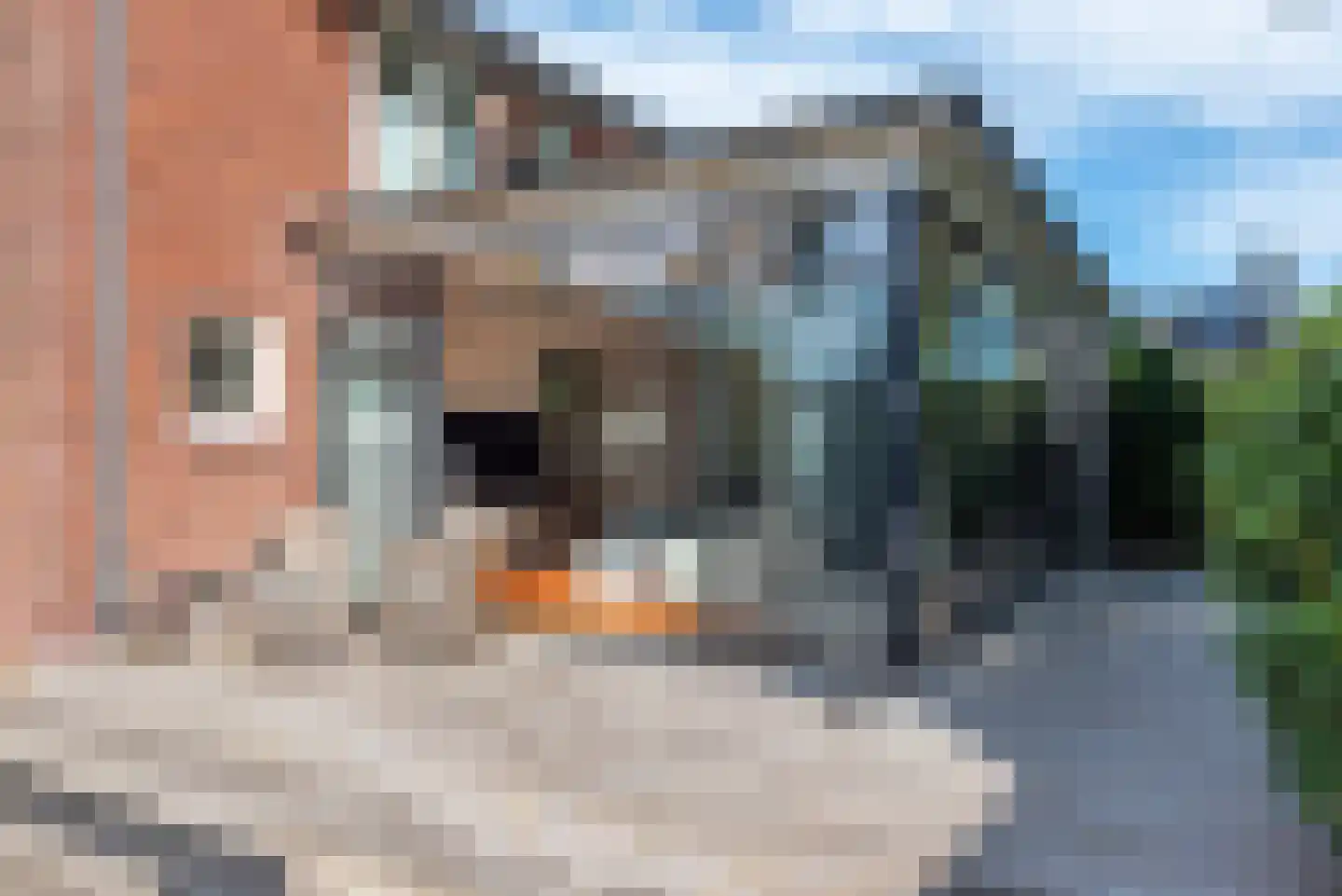 Van Vladerackenlaan 31 Heiloo thumbnail 62