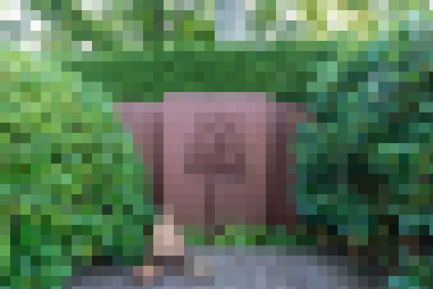 Van Vladerackenlaan 31 Heiloo thumbnail 64
