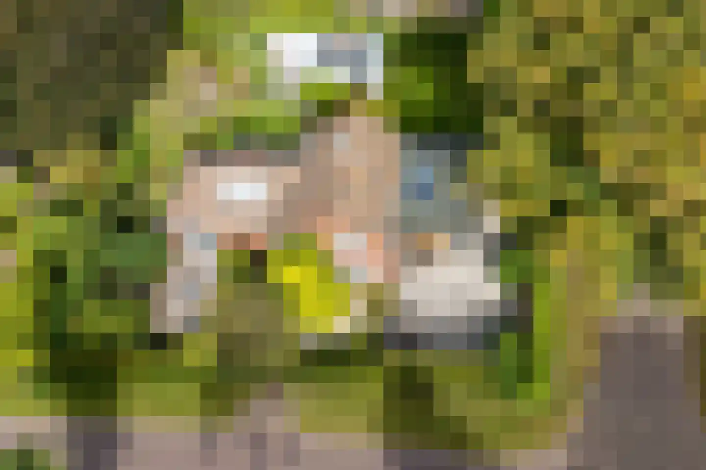 Van Vladerackenlaan 31 Heiloo thumbnail 7