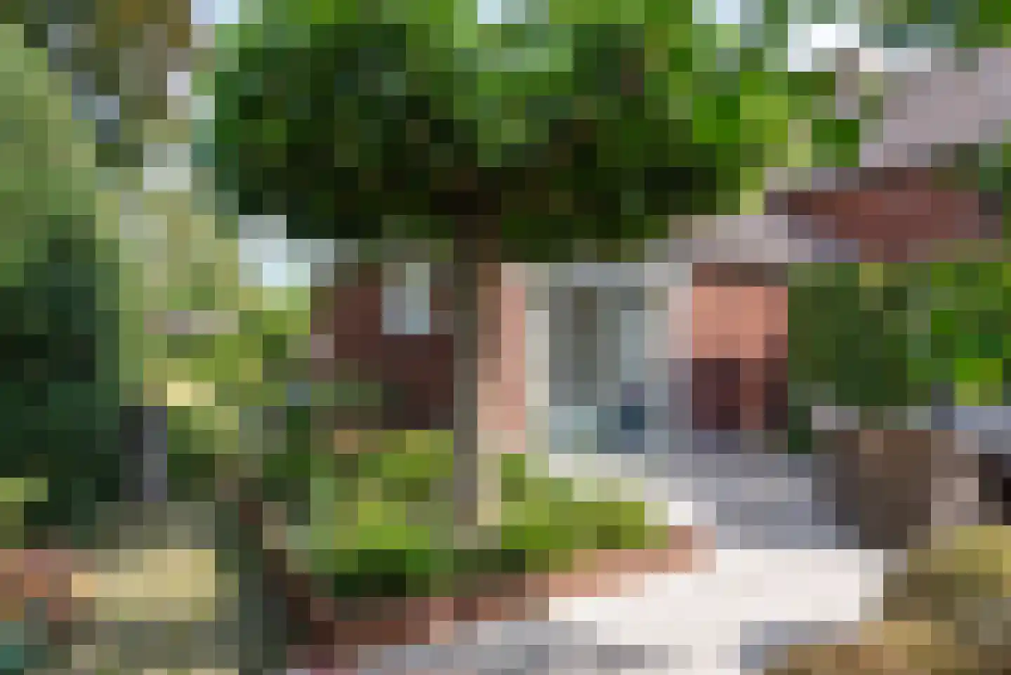 Van Vladerackenlaan 31 Heiloo thumbnail 71