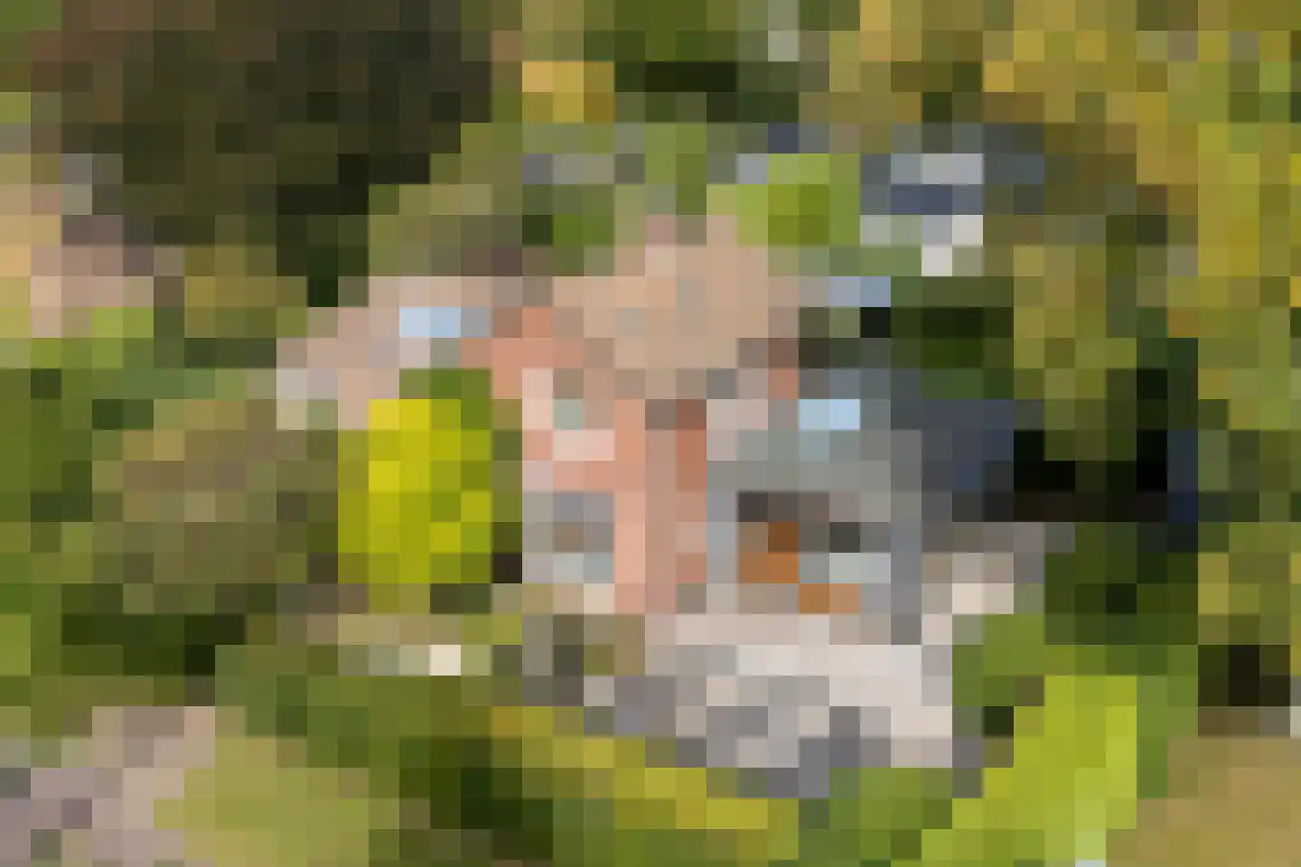 Van Vladerackenlaan 31 Heiloo thumbnail 8