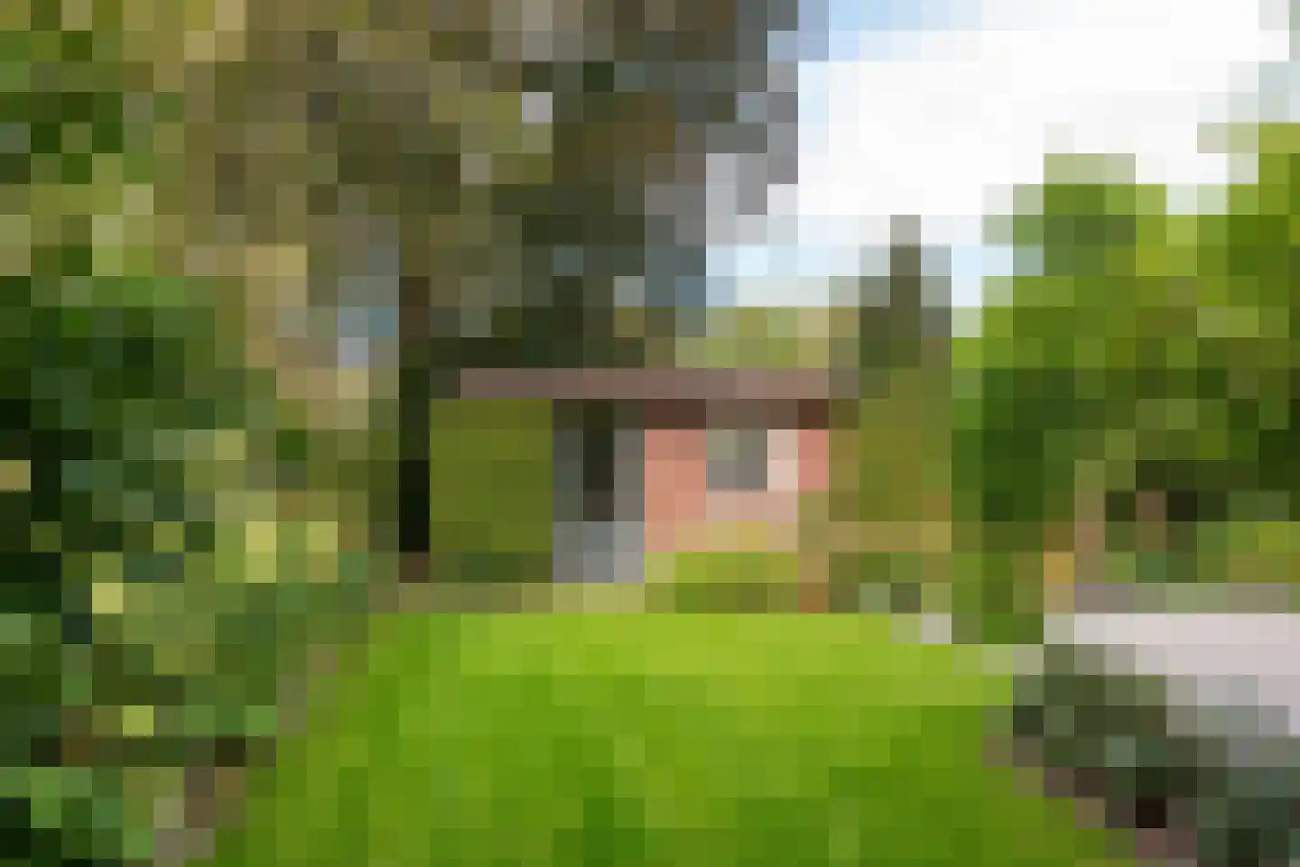 Van Vladerackenlaan 31 Heiloo thumbnail 83