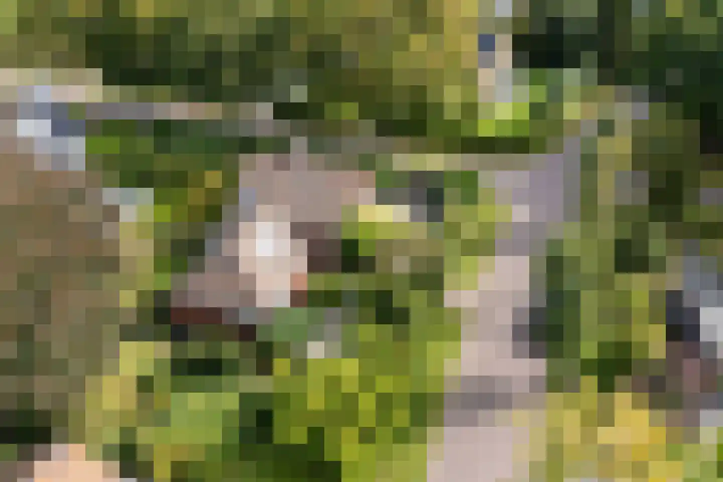 Van Vladerackenlaan 31 Heiloo thumbnail 84