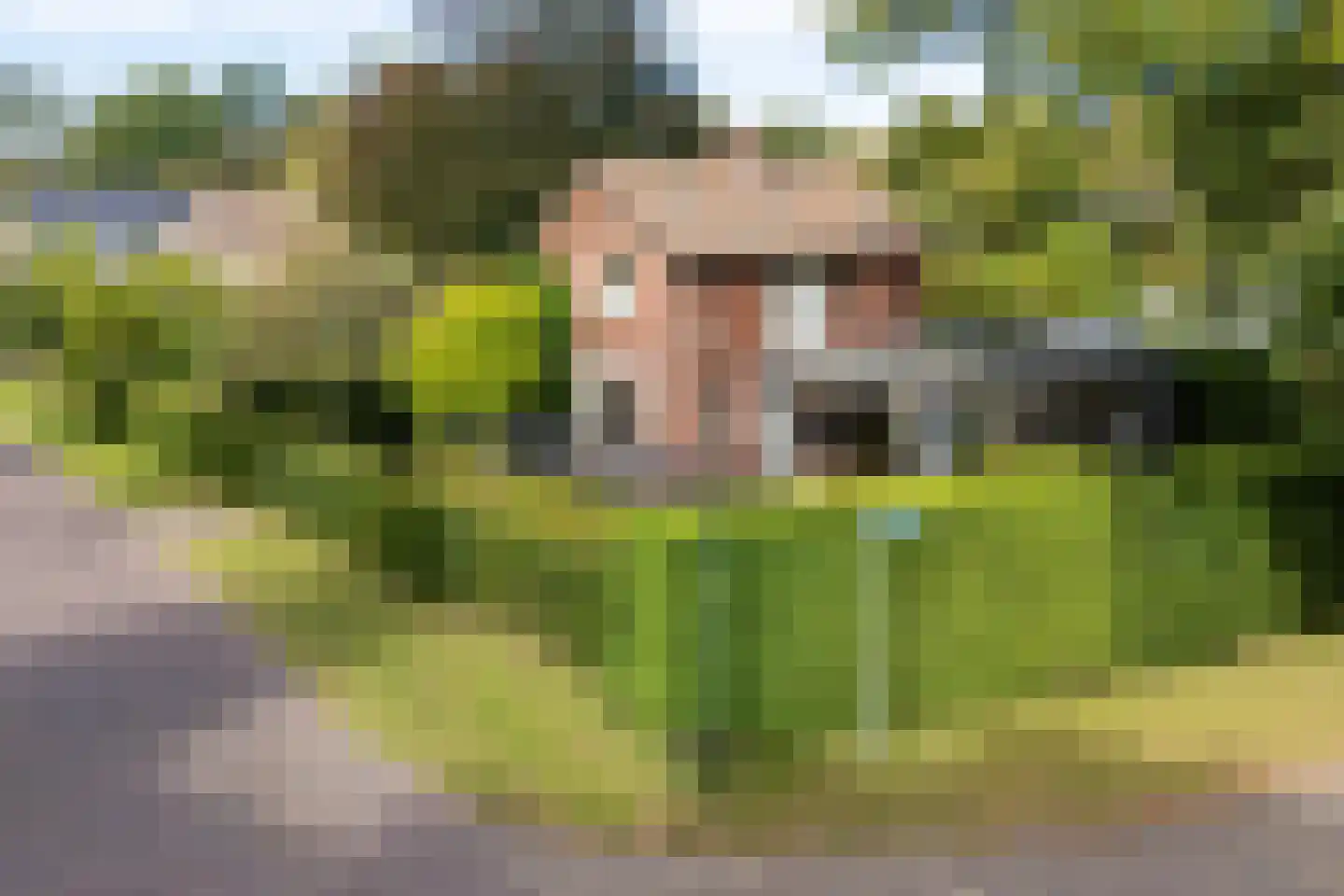 Van Vladerackenlaan 31 Heiloo thumbnail 88
