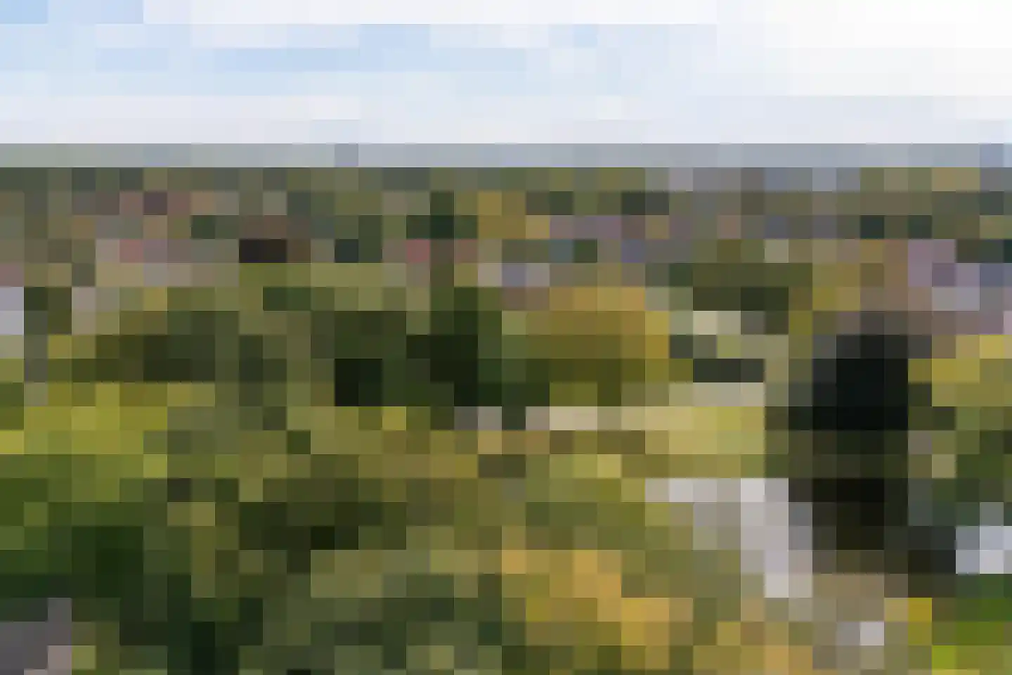 Van Vladerackenlaan 31 Heiloo thumbnail 91