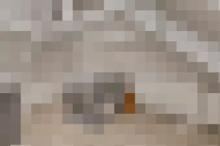 Van Vlattenstraat 36 Sevenum thumbnail 33