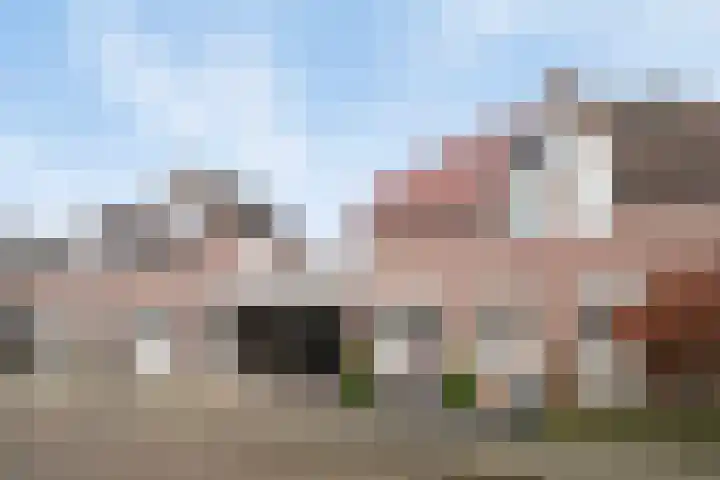 Van Vlattenstraat 36 Sevenum thumbnail 8