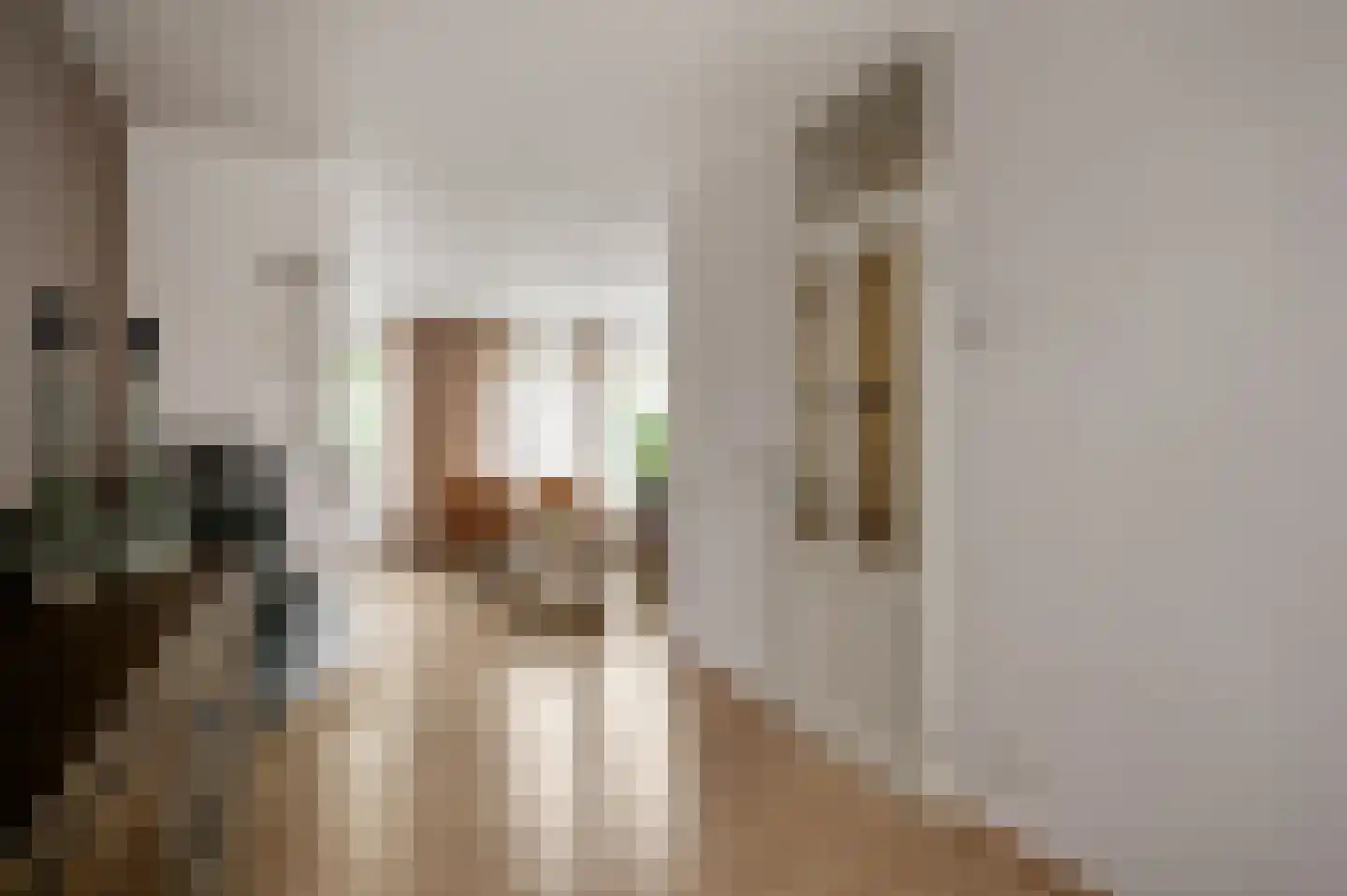 Van Vlattenstraat 40 Sevenum thumbnail 16