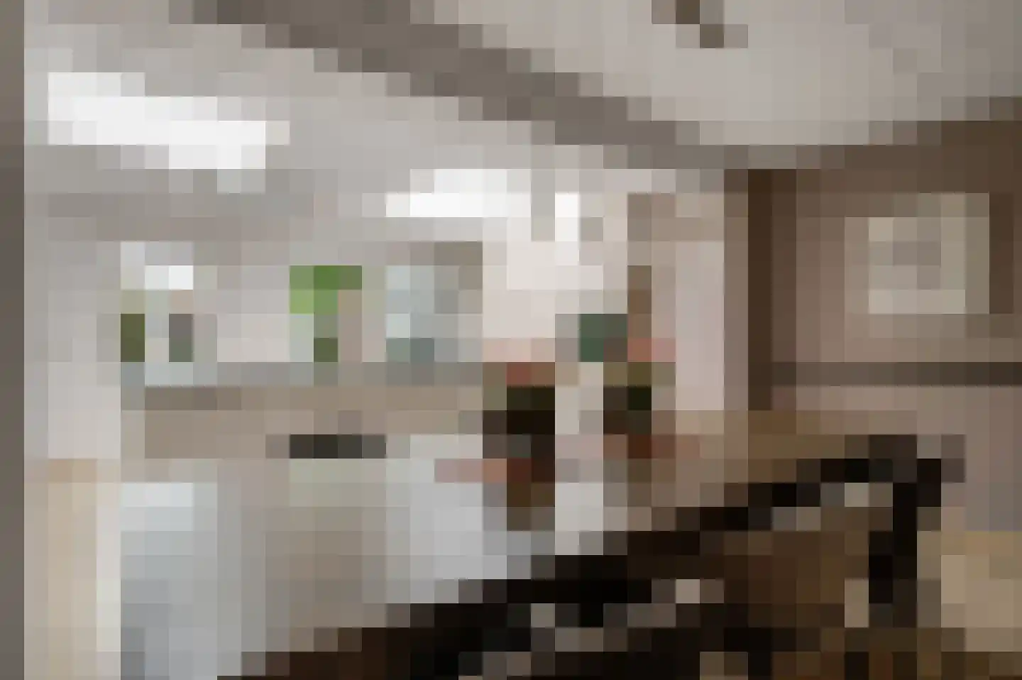 Van Vlattenstraat 40 Sevenum thumbnail 21