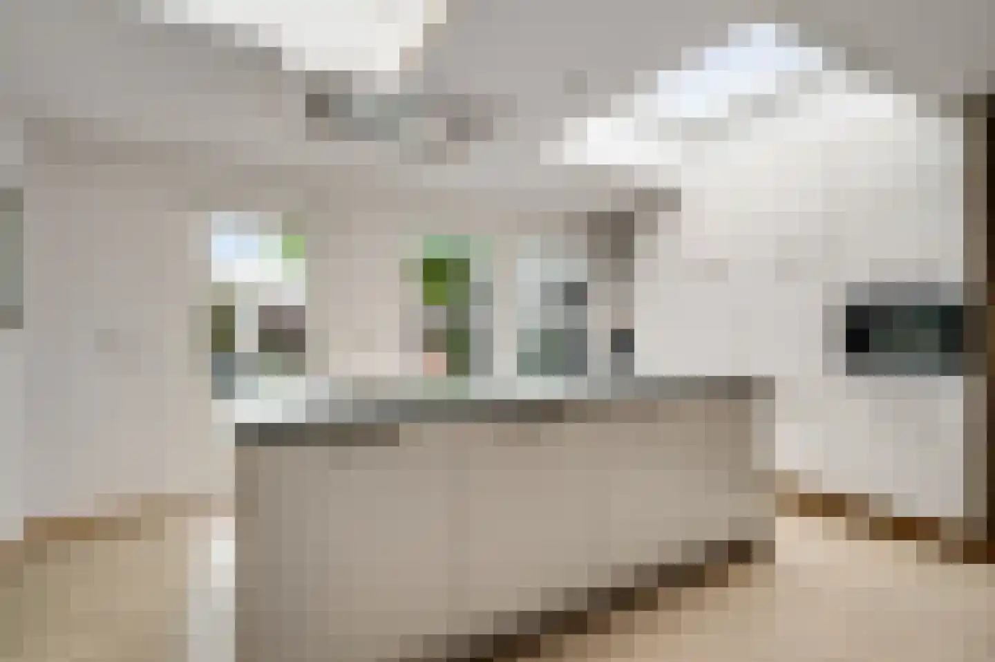 Van Vlattenstraat 40 Sevenum thumbnail 22