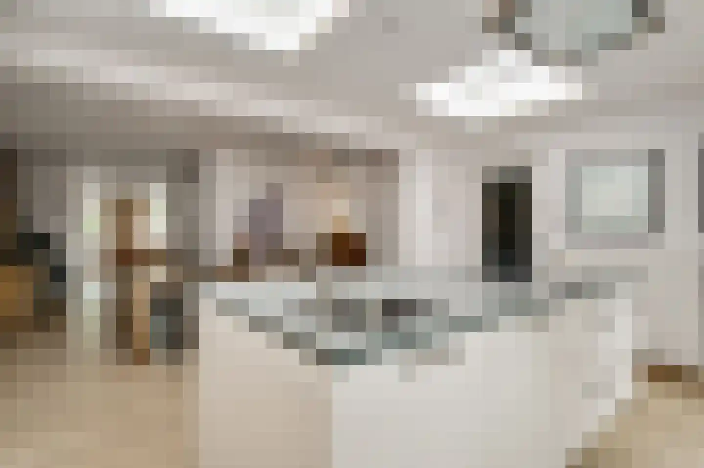 Van Vlattenstraat 40 Sevenum thumbnail 24