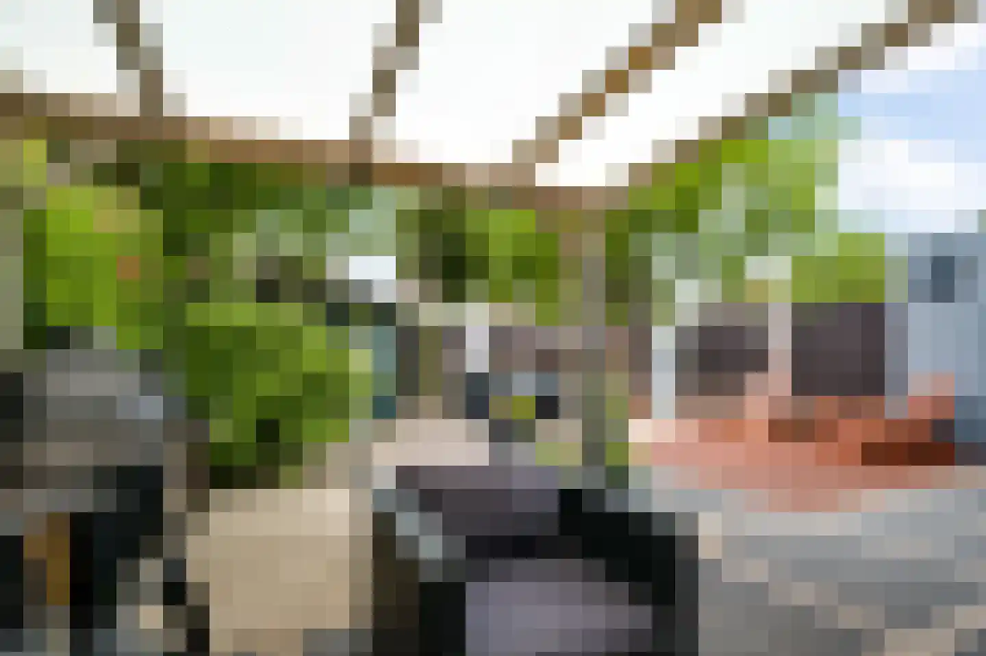 Van Vlattenstraat 40 Sevenum thumbnail 44