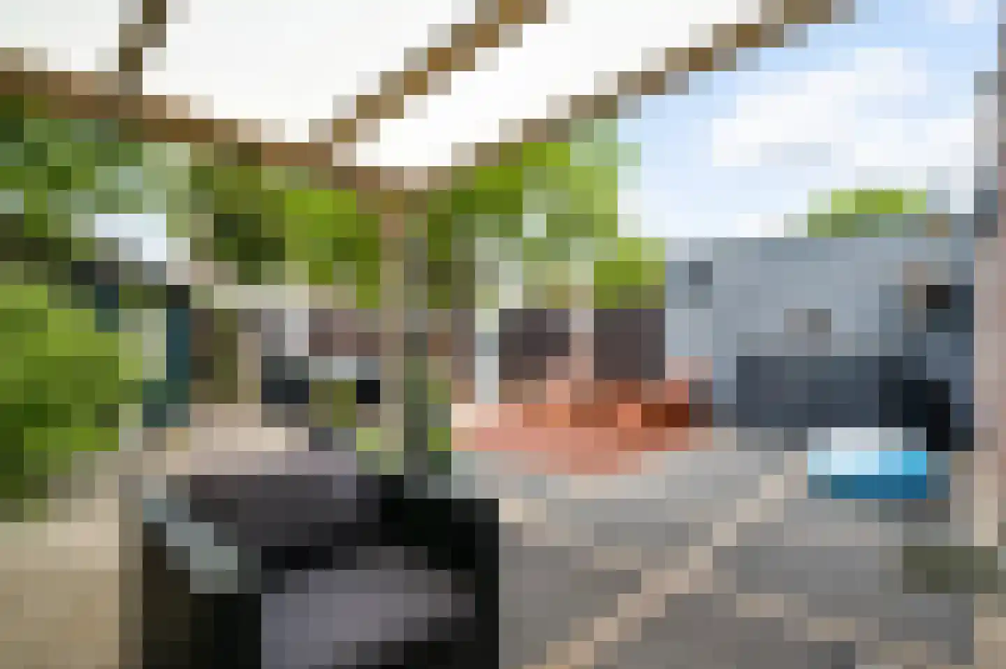 Van Vlattenstraat 40 Sevenum thumbnail 45