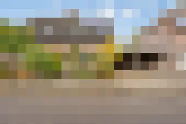 Van Vlattenstraat 42 Sevenum thumbnail 5