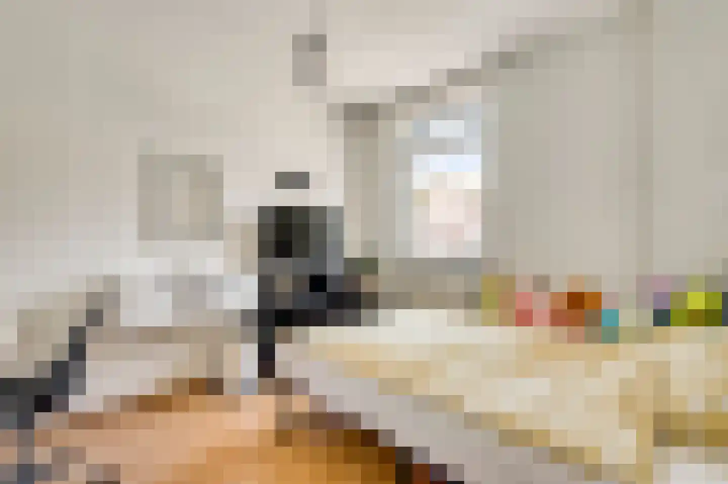Van Vlattenstraat 53 Sevenum thumbnail 34