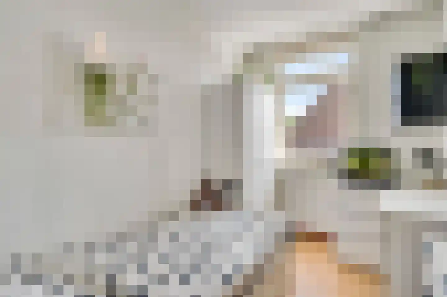 Van Vlattenstraat 53 Sevenum thumbnail 38