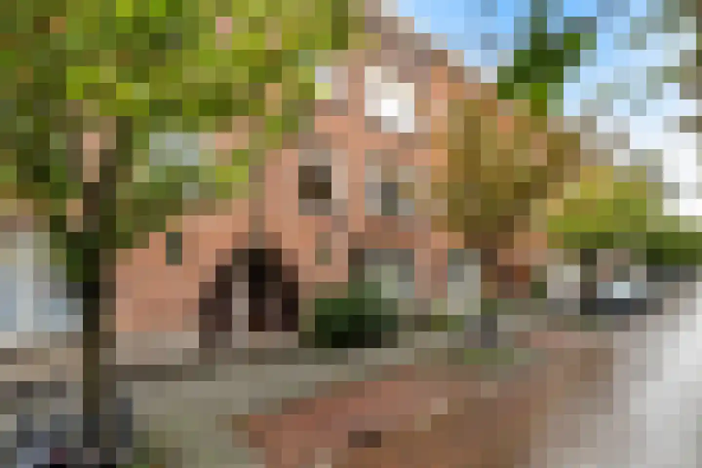 Van Vlooswijkstraat 11 B 02 Rotterdam thumbnail 5
