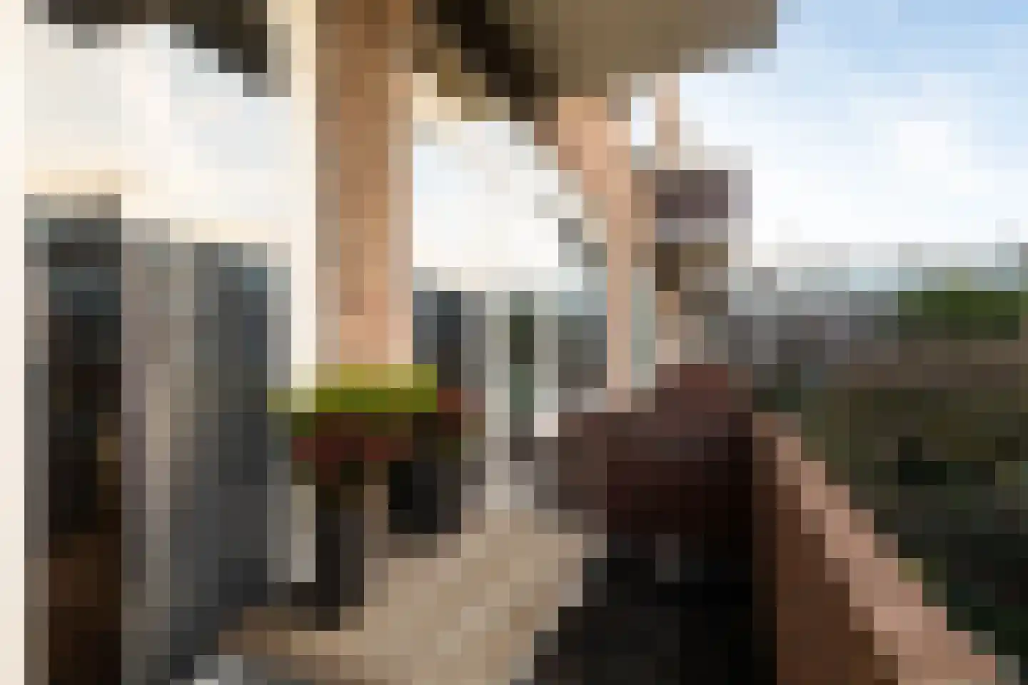 Van Vlooswijkstraat 16 A Rotterdam thumbnail 20