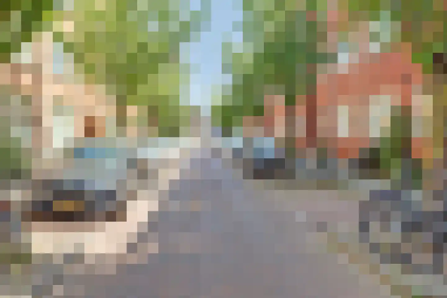 Van Vlooswijkstraat 16 A Rotterdam thumbnail 33