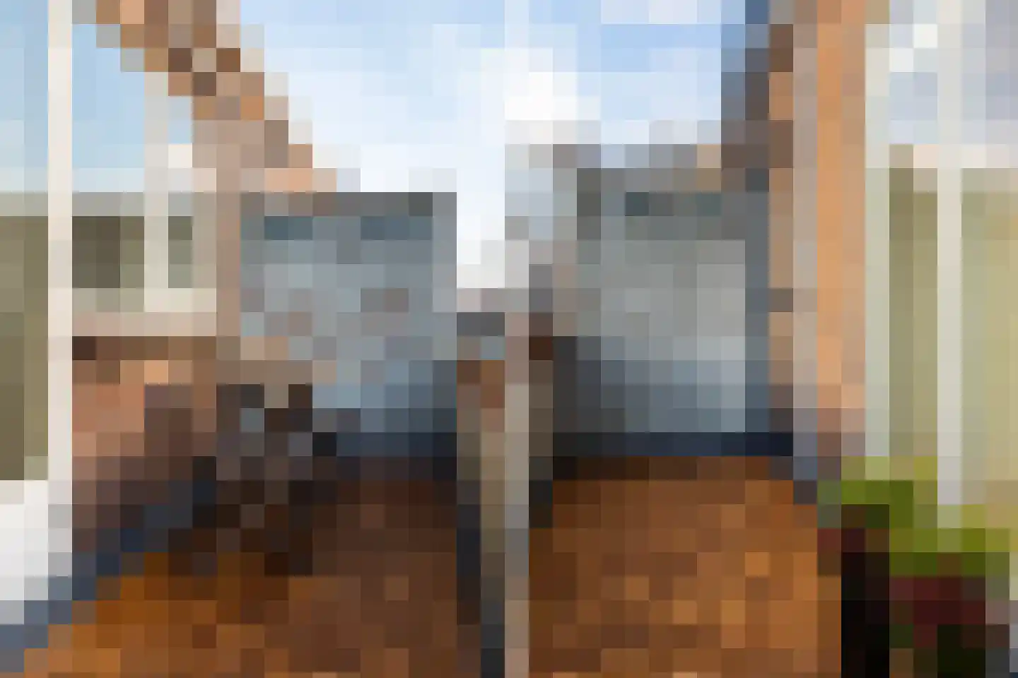 Van Vlooswijkstraat 16 A Rotterdam thumbnail 37