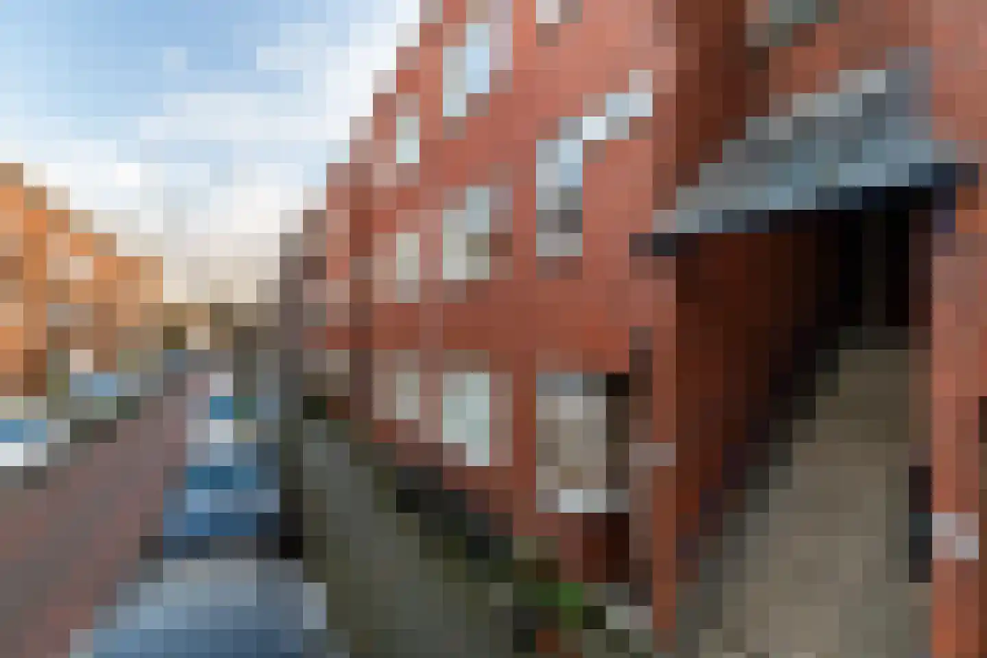 Van Vlooswijkstraat 16 C Rotterdam thumbnail 45