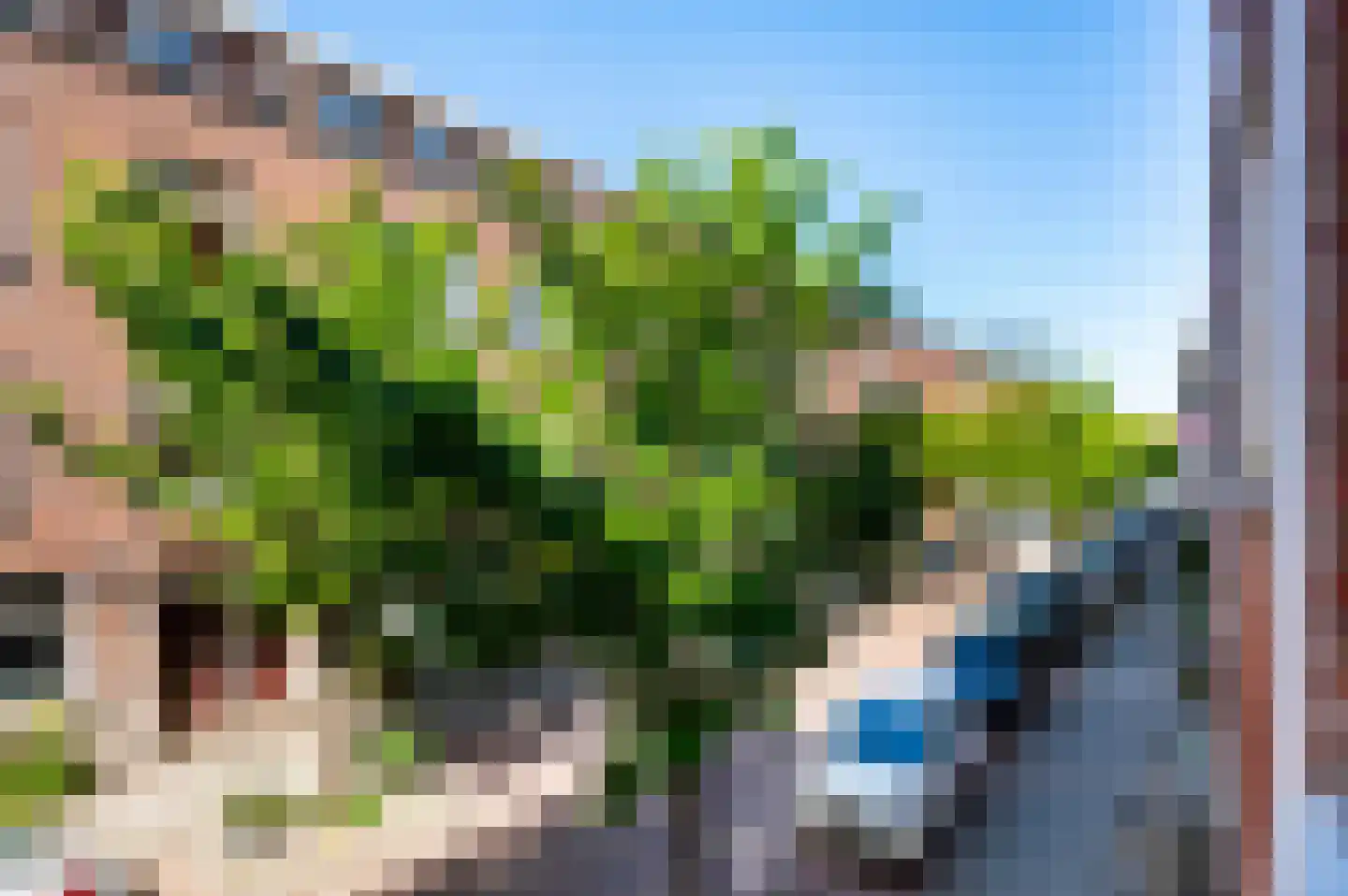 Van Vlooswijkstraat 20 B 02 Rotterdam thumbnail 39