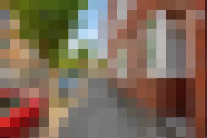 Van Vlooswijkstraat 4 B Rotterdam thumbnail 27