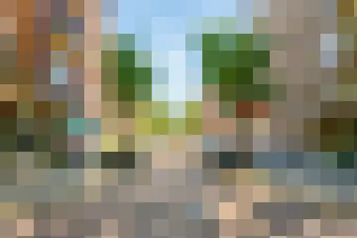 Van Vlooswijkstraat 4 B Rotterdam thumbnail 30