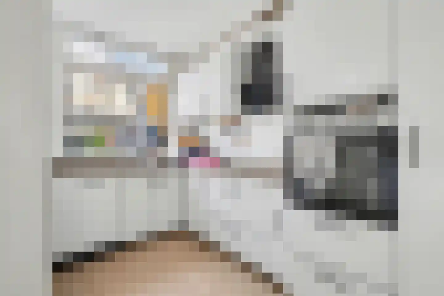 Van Vlotenstraat 16 Den Haag thumbnail 15