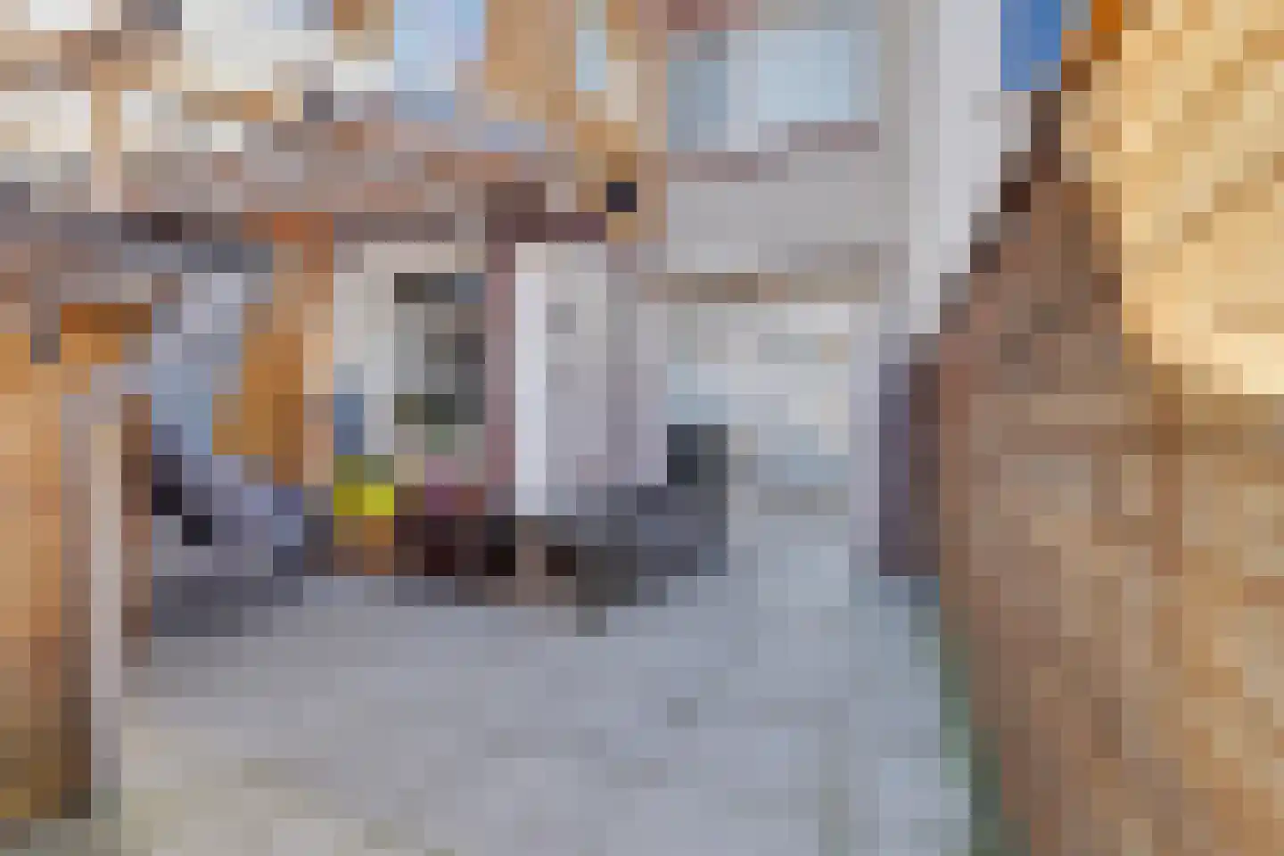 Van Vlotenstraat 16 Den Haag thumbnail 35
