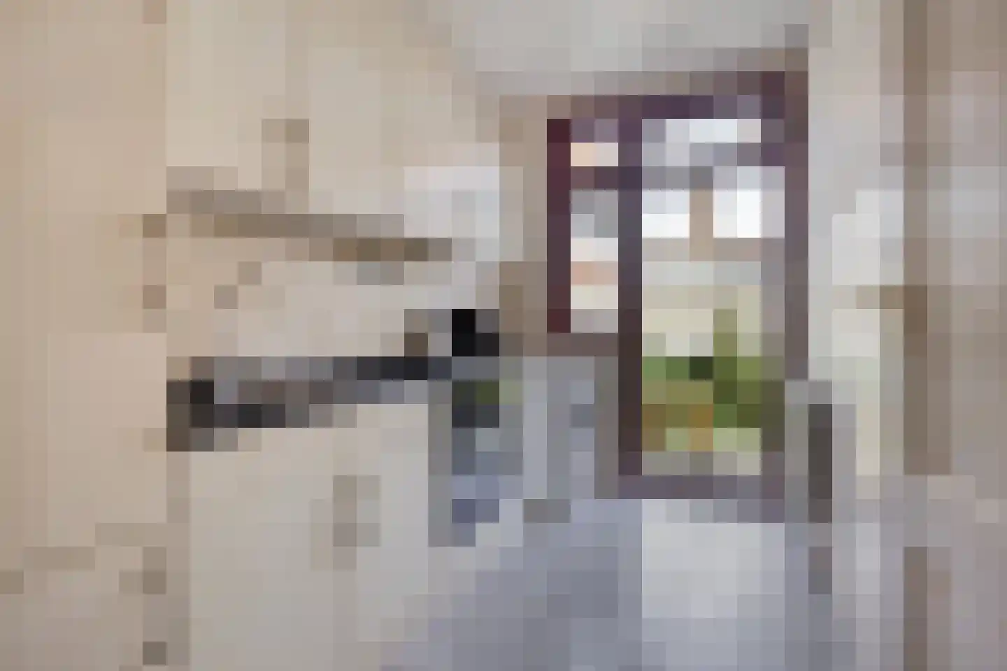 Van Vlotenstraat 22 Den Haag thumbnail 4