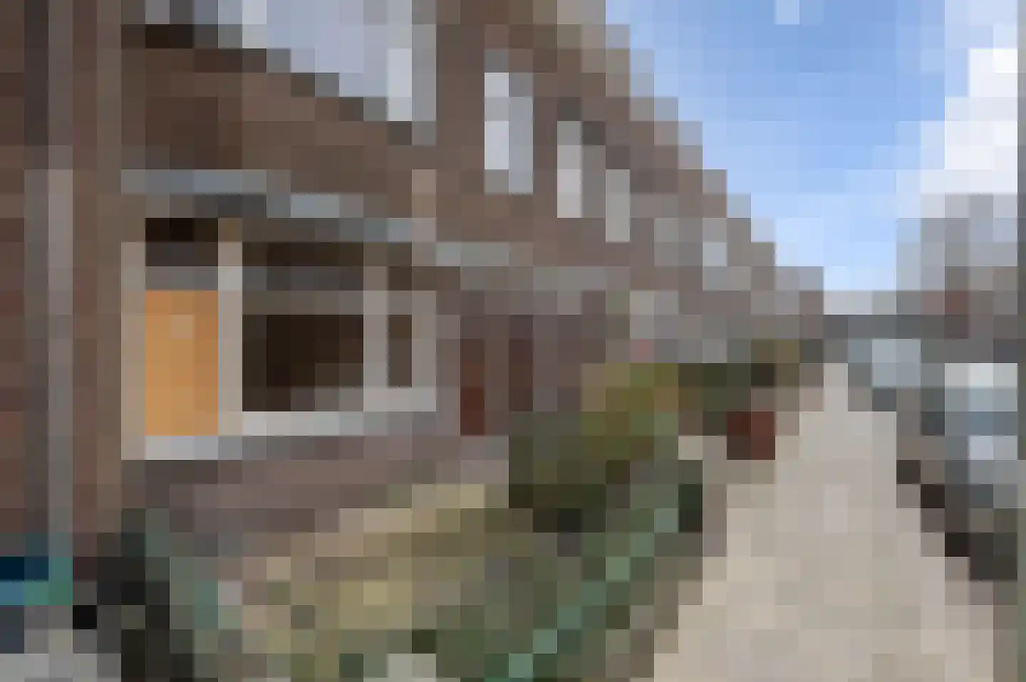 Van Vlotenstraat 58 Den Haag thumbnail 6