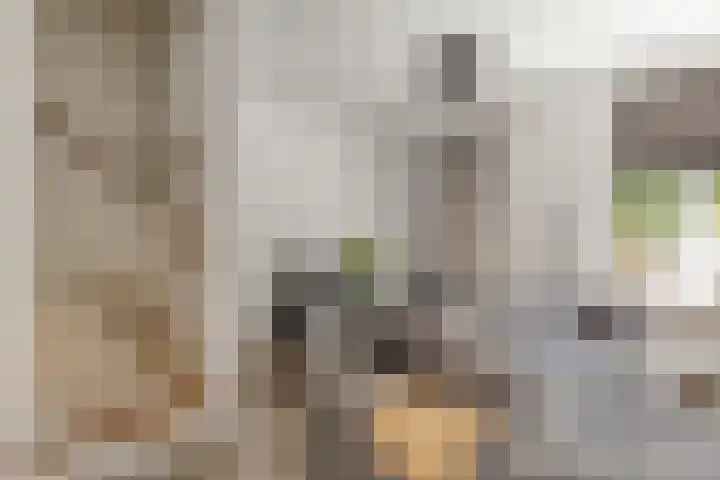 Van Vlotenstraat 80 Den Haag thumbnail 6