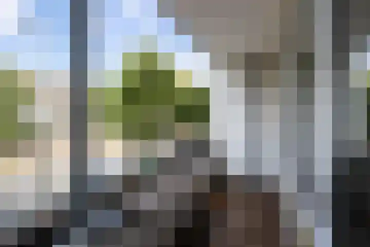 Van Vollenhovenlaan 10 Utrecht thumbnail 15