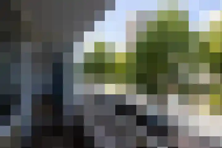 Van Vollenhovenlaan 10 Utrecht thumbnail 16