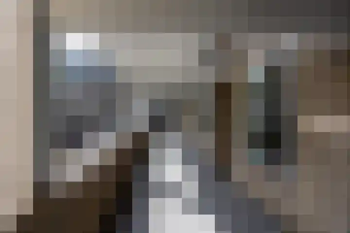 Van Vollenhovenlaan 10 Utrecht thumbnail 29