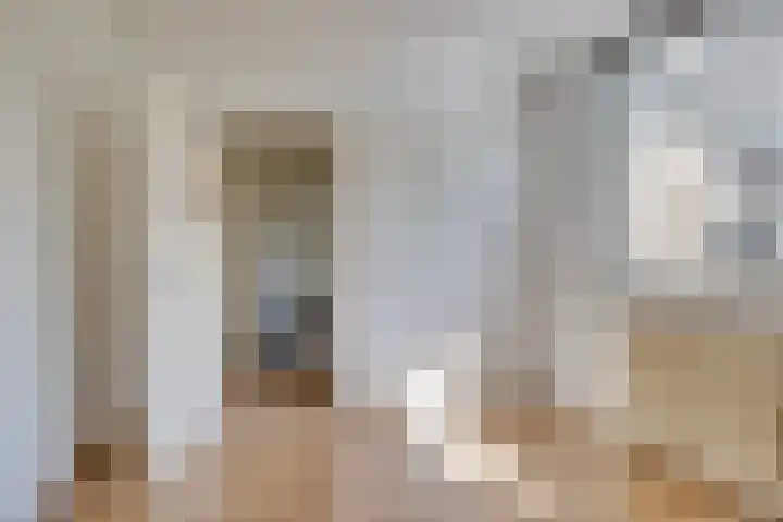 Van Vollenhovenlaan 10 Utrecht thumbnail 8