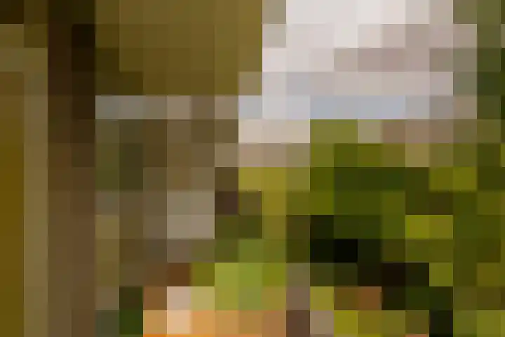 Van Vollenhovenlaan 108 Utrecht thumbnail 11