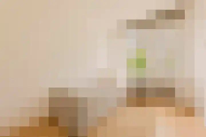 Van Vollenhovenlaan 108 Utrecht thumbnail 16