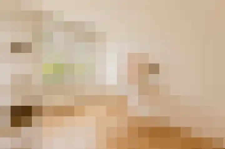 Van Vollenhovenlaan 108 Utrecht thumbnail 17