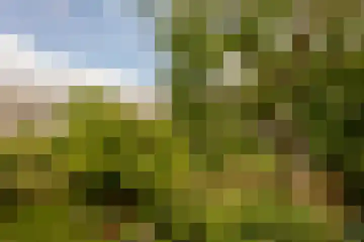 Van Vollenhovenlaan 108 Utrecht thumbnail 21