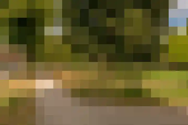 Van Vollenhovenlaan 108 Utrecht thumbnail 22