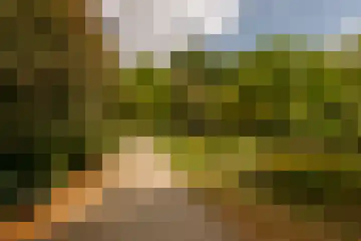 Van Vollenhovenlaan 108 Utrecht thumbnail 23