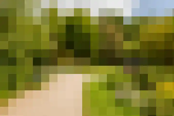 Van Vollenhovenlaan 108 Utrecht thumbnail 24