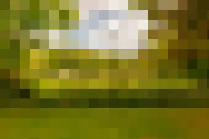 Van Vollenhovenlaan 108 Utrecht thumbnail 25