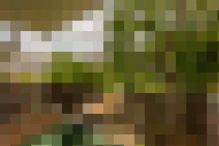 Van Vollenhovenlaan 108 Utrecht thumbnail 4